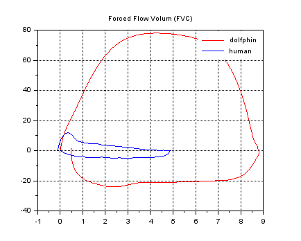 Comparison flow-volume curve dolphin vs human